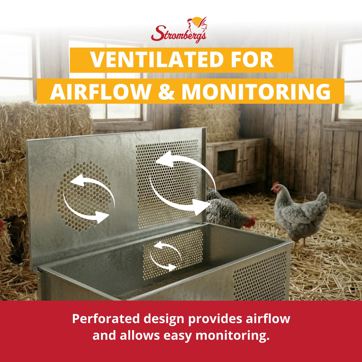 Stromberg's brooder large capacity fits up to 50 chicks