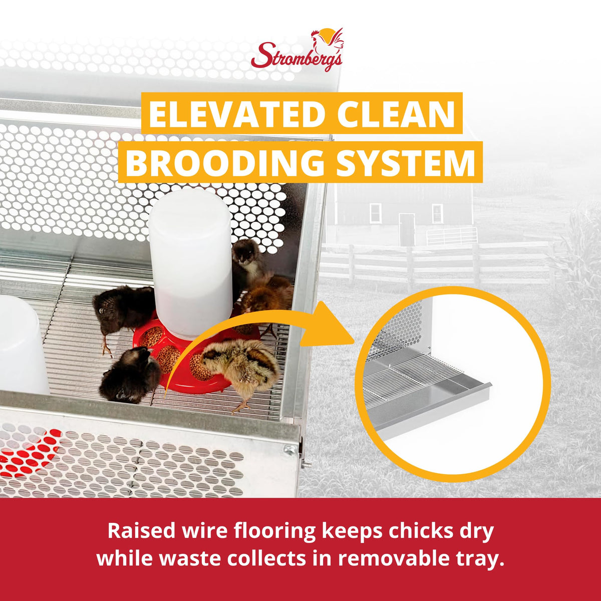 Stromberg's chick brooder removable tray simplifies cleaning and waste management