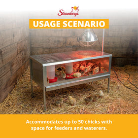 Stromberg's chick brooder ventilated steel design improves airflow and durability
