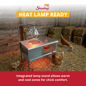 Stromberg's chick brooder with wire floor keeps chicks dry and waste visible