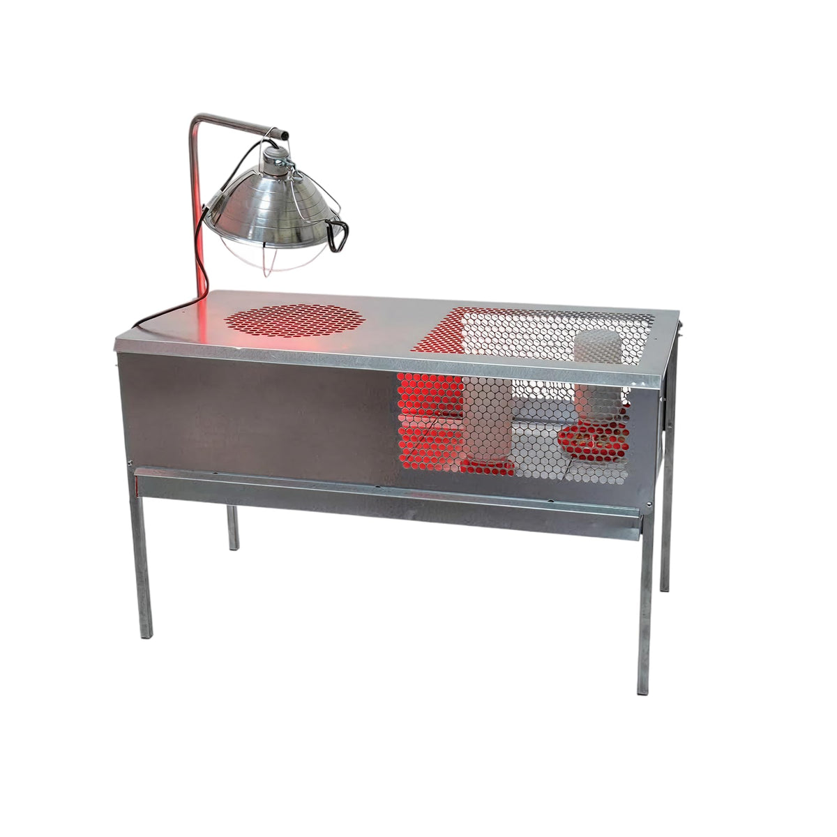 Stromberg's Stand Up Chick Brooder elevated pen with lamp stand supports safe warmth