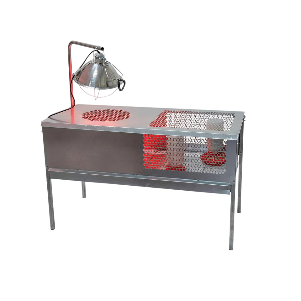 Stromberg's Stand Up Chick Brooder elevated pen with lamp stand supports safe warmth