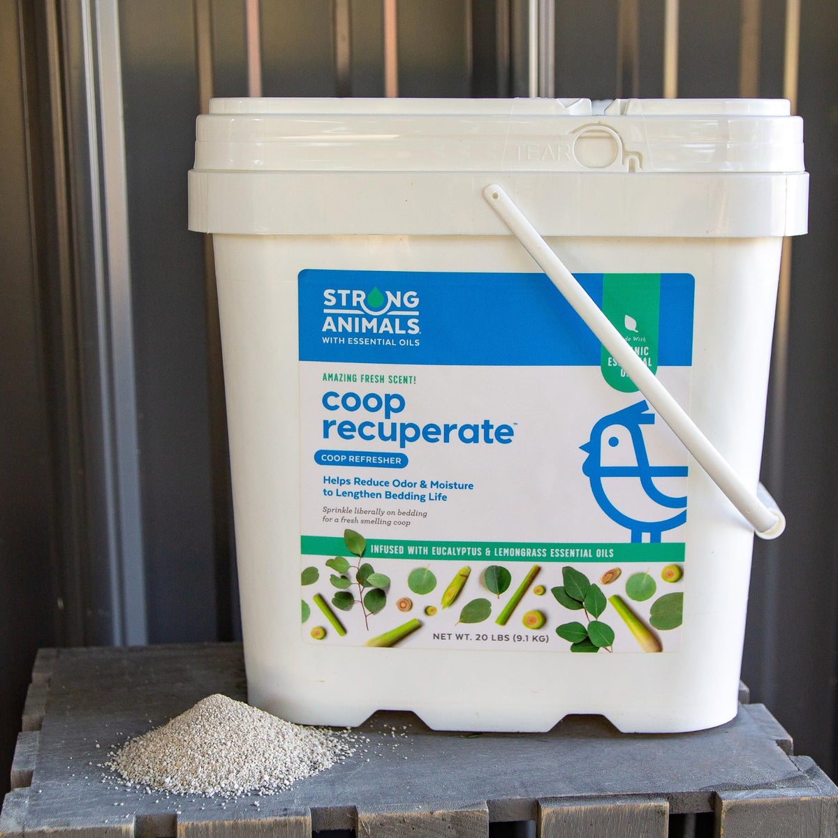 Strong Animals Coop Recuperate in coop interior showing improved bedding life.