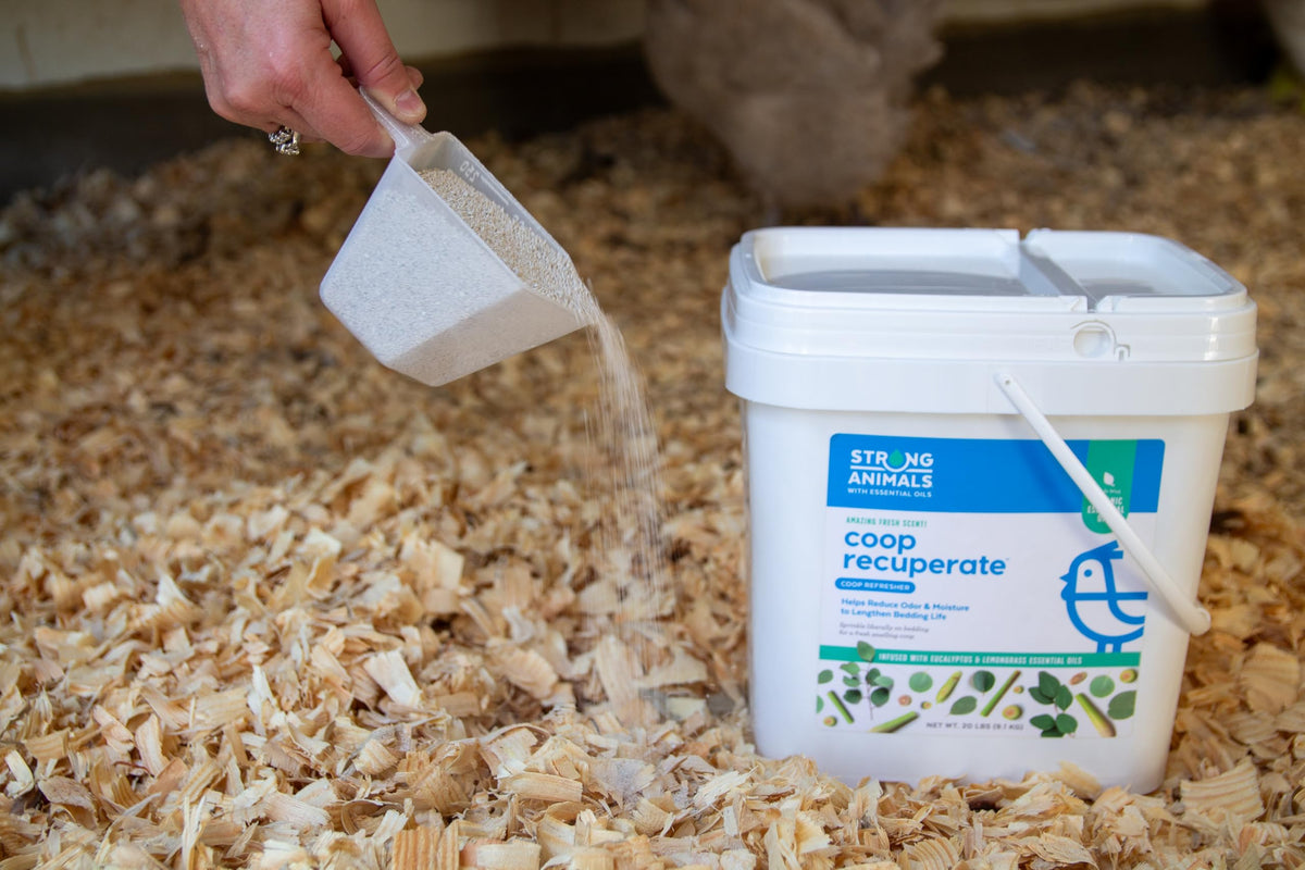 Strong Animals Coop Recuperate closeup on essential oils of eucalyptus and lemongrass.