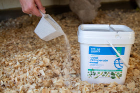 Strong Animals Coop Recuperate closeup on essential oils of eucalyptus and lemongrass.