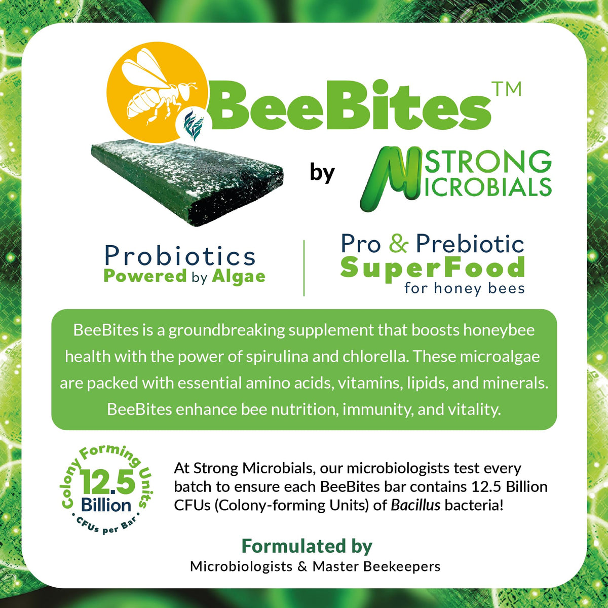 STRONG MICROBIALS BeeBites on top bar for simple daily feeding.
