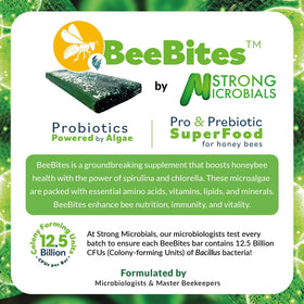 STRONG MICROBIALS BeeBites on top bar for simple daily feeding.