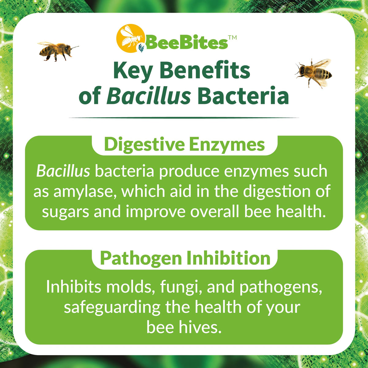 STRONG MICROBIALS BeeBites 10-bar pack offers convenient hive nutrition planning.