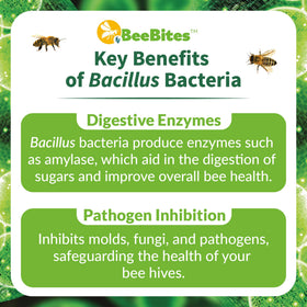 STRONG MICROBIALS BeeBites 10-bar pack offers convenient hive nutrition planning.