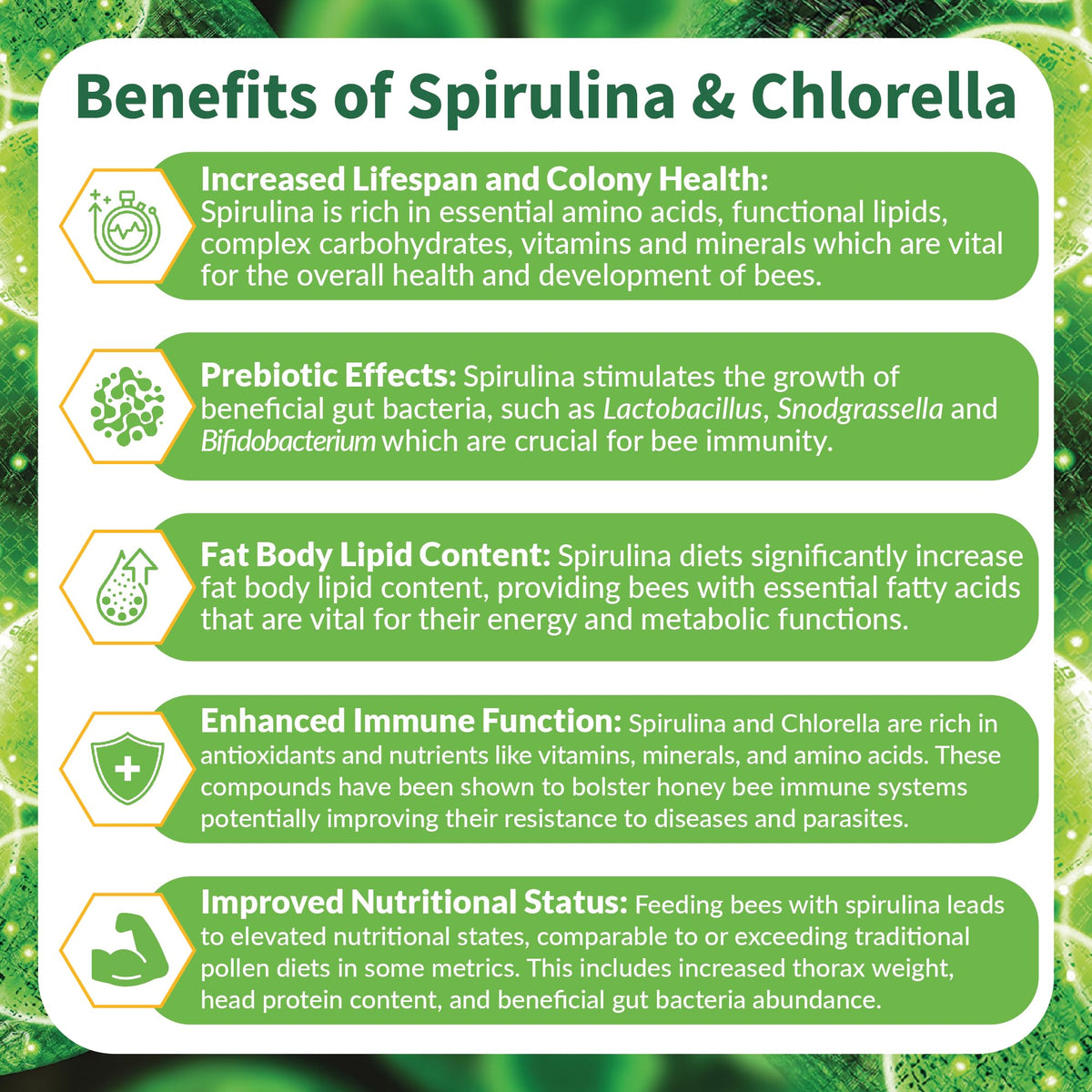 STRONG MICROBIALS BeeBites spirulina-chlorella bars highlight nutrient-rich formula for bee energy.
