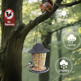 STWPYL feeder features top knob refill and wide opening for quick filling.
