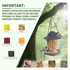 STWPYL Small Bird Feeder keeps feed dry with drainage.