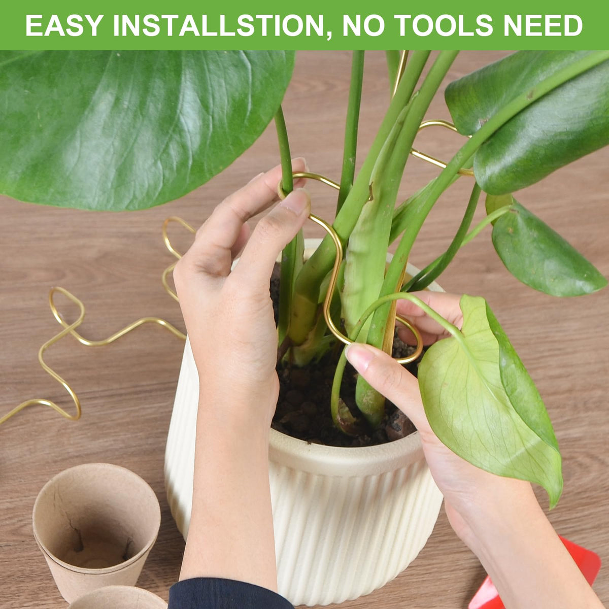 succulentlovers Curved design stake easy to insert and adjust for multiple plants.