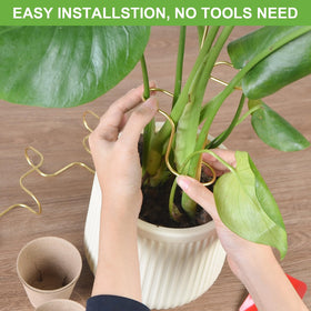 succulentlovers Curved design stake easy to insert and adjust for multiple plants.