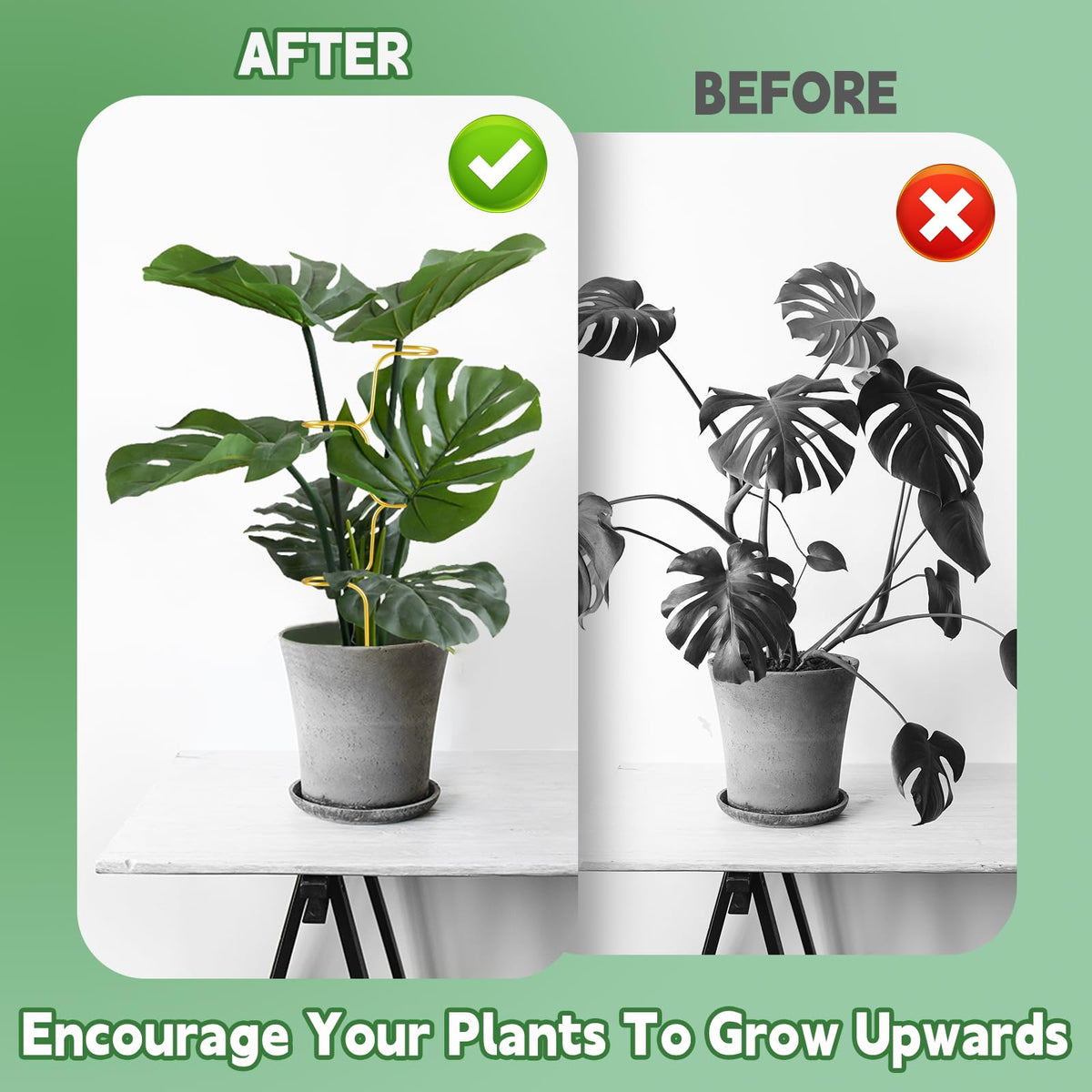 succulentlovers Easy-install trellis set simplifies indoor and outdoor plant stabilization.