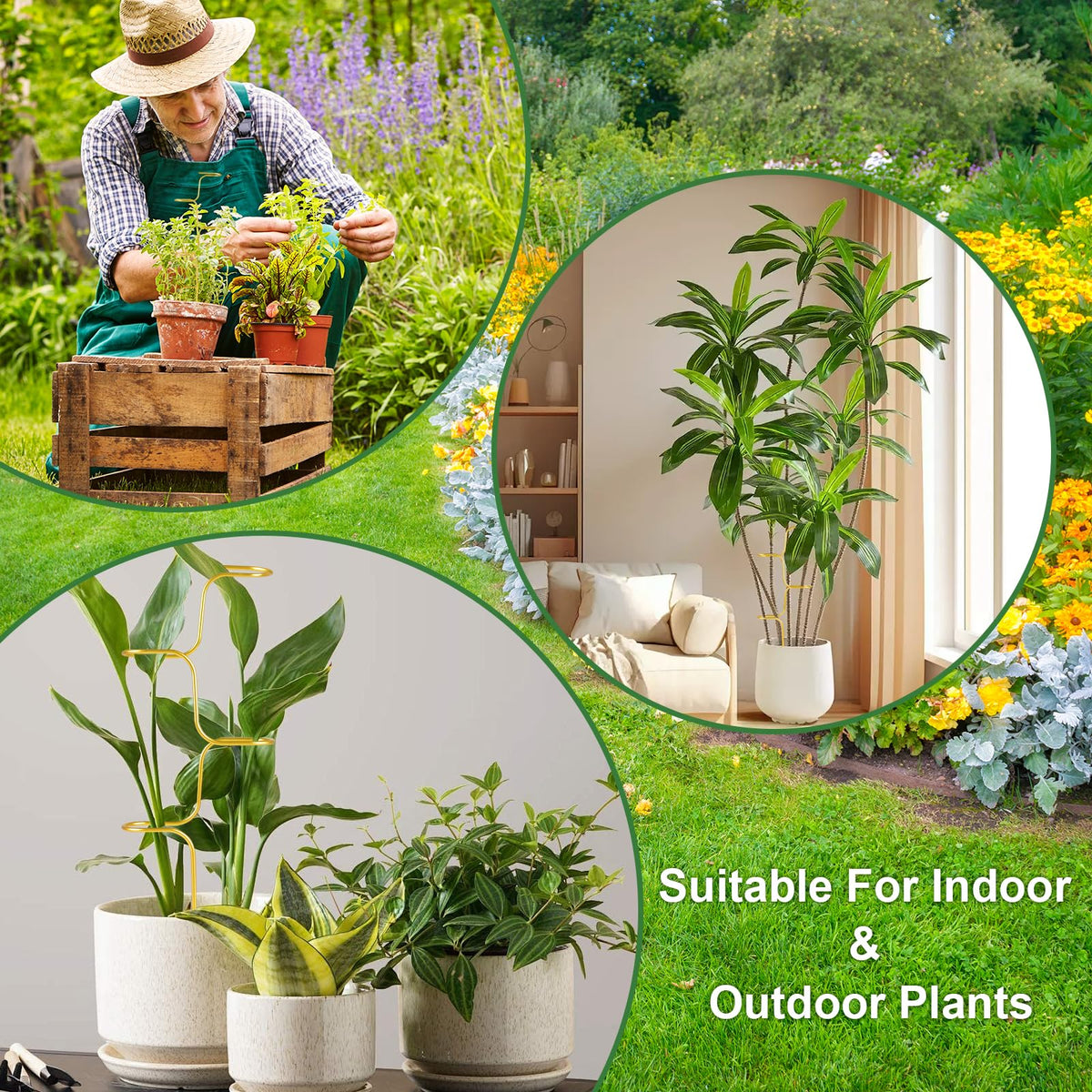 succulentlovers Versatile stakes suit potted and climber plants up to 40 cm.