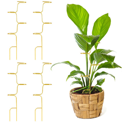 succulentlovers Monstera stake 12.6 inch supports upright growth and neat foliage.
