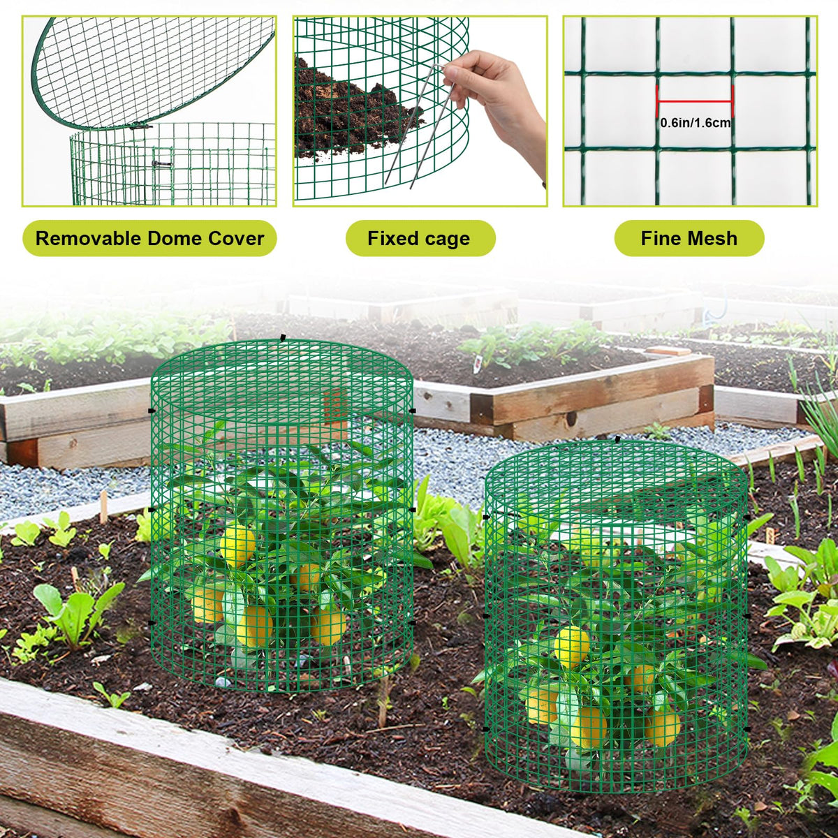 Succulentlovers ground stakes secure cages firmly into soil for stability.