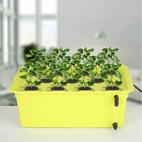 SUCOHANS collar fits standard 2-inch net pots for hydroponics cloning