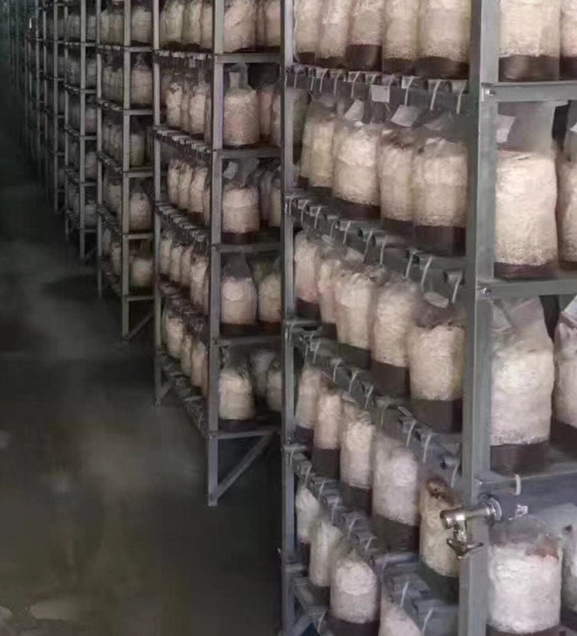 SUCOHANS substrate spawn bag suitable for mushrooms and bamboo fungus