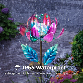 SUCUY purple-blue lotus adds garden charm at dusk.