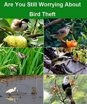 Easy to hang SUJAYU tape shown for bird deterrence usage