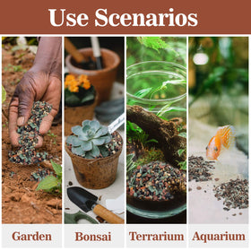 Sukh 390g bonsai granule mix supports beginners and seasoned gardeners.
