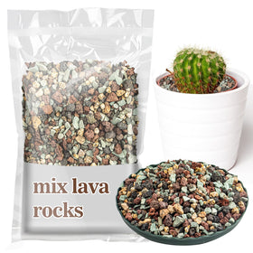 Sukh bonsai lava rocks enhance well-draining soil for healthy roots.