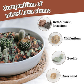 Sukh cactus soil amendment uses mineral lava rocks to support growth.