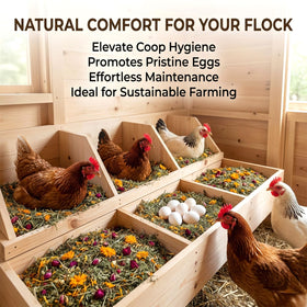 Sukh dust bath with herbs suggests a comfortable, well-scented area for birds.