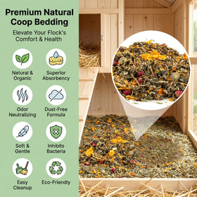 Sukh eggs benefit from herb diet with subtle egg aroma enhancement.