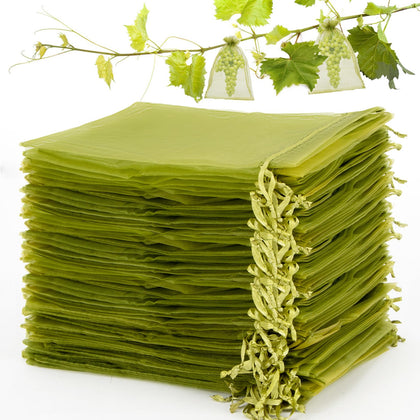Sukh fruit protection bags 6x8 keeping ripening fruit safe from damage