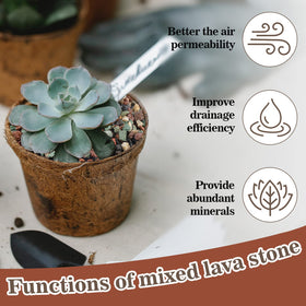 Sukh indoor plant mix lava granules boost airflow around roots.