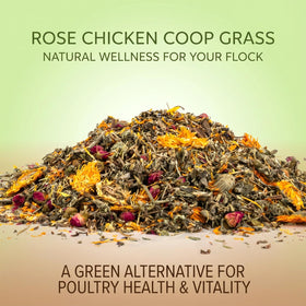 Sukh poultry herbs in coop image promote calm environment and nutrient support.