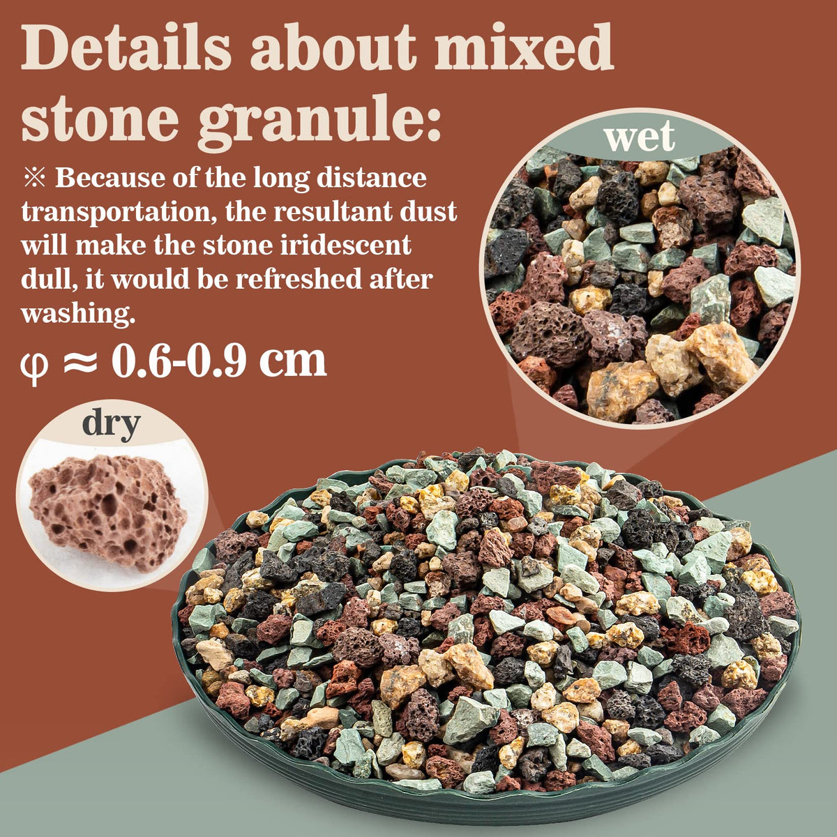 Sukh succulent granule soil with lava rocks balances moisture for indoor plants.