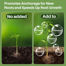 Sukh vermiculite promotes drainage and root-friendly aeration in beds and pots.