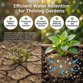 Seedling germination environment with Sukh vermiculite enhances root setup