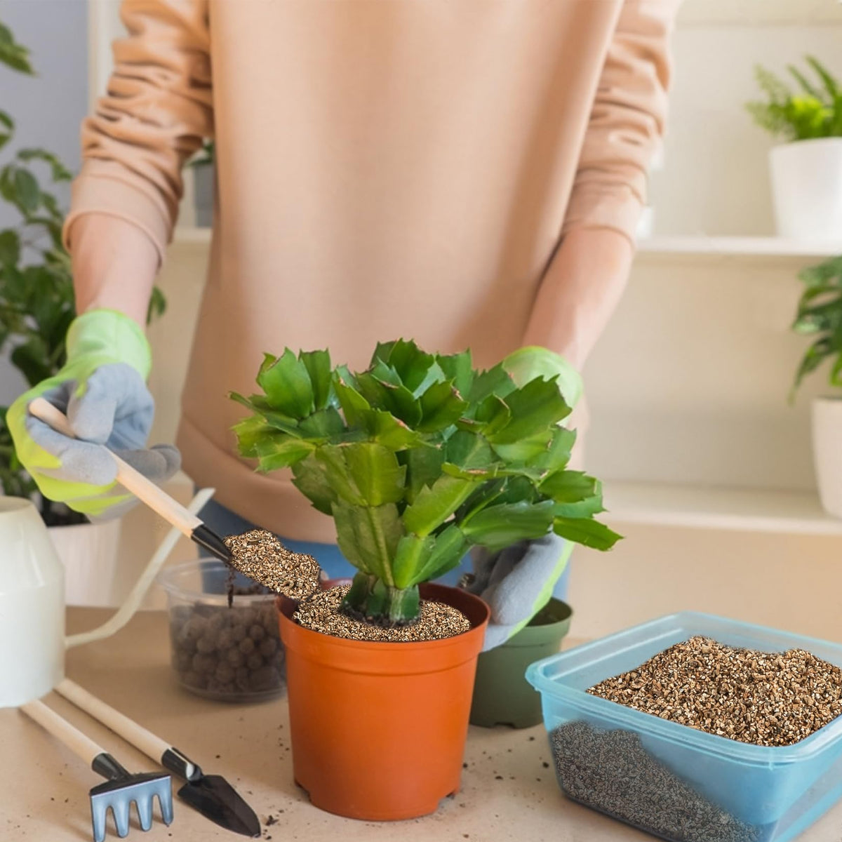 Sukh vermiculite supports seed starting, propagation, and indoor plants with natural conditioning.