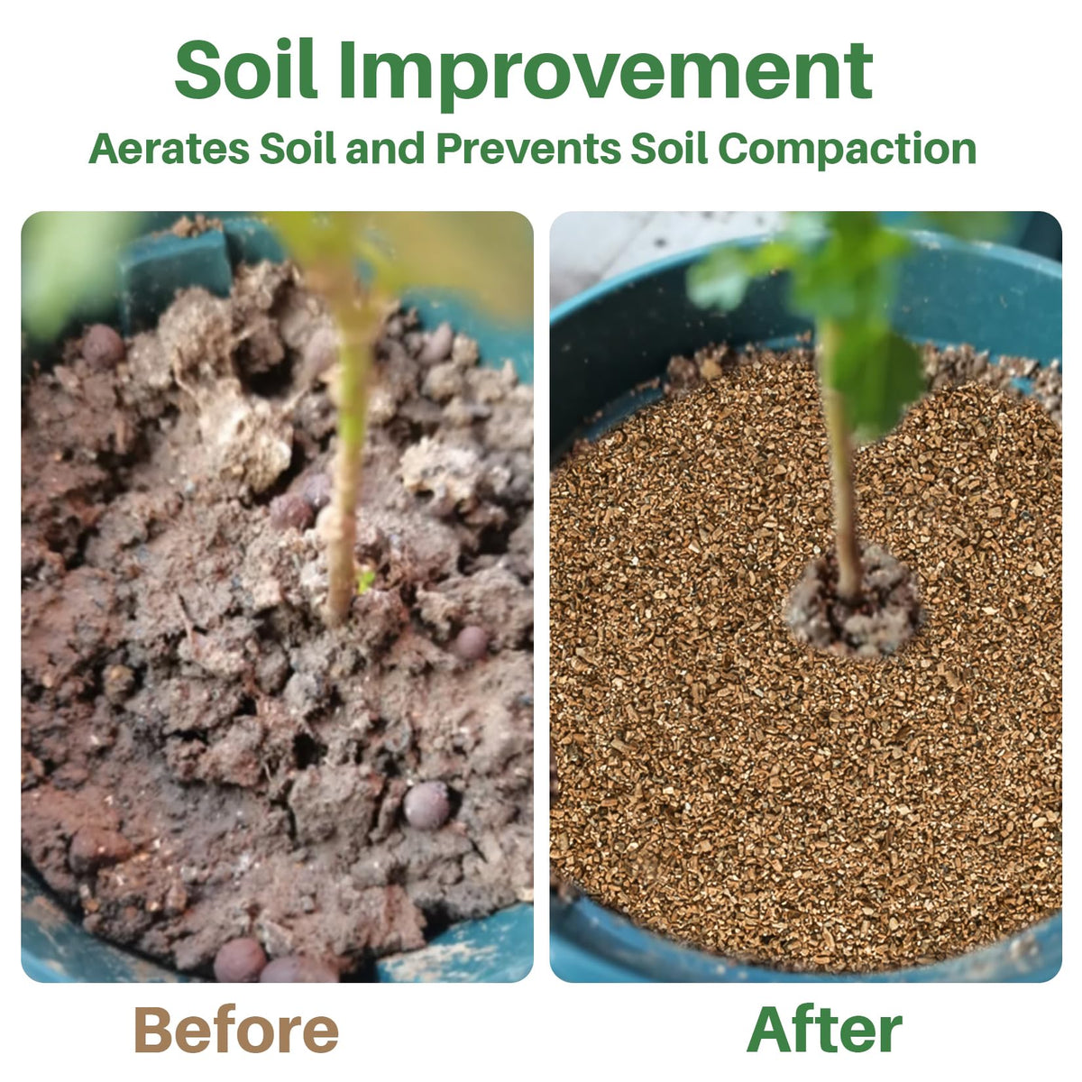 Sukh vermiculite moisture-retention helps steady watering and reduces crusting in containers.