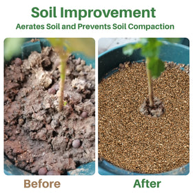 Sukh vermiculite moisture-retention helps steady watering and reduces crusting in containers.