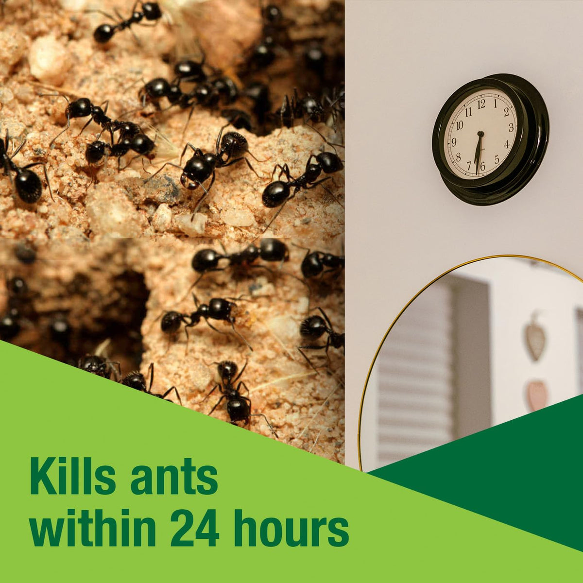 Indoor-outdoor usage visualizes safe spot treatment in homes and yards.