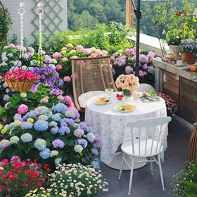 SUMERSHA indoor outdoor plant display with bohemian vibe