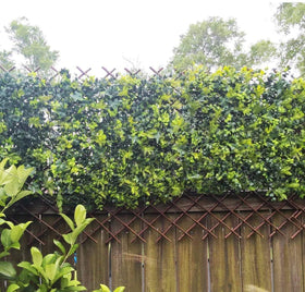 Sumery willow fence panel as garden divider for organized outdoor space