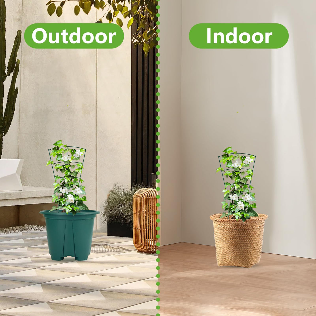 SUMGROW climbing support for flowers, vines, and ivy promotes healthy growth