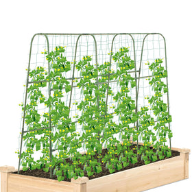 Sumgrow cucumber trellis in a raised bed with a sturdy 4ft U-frame.