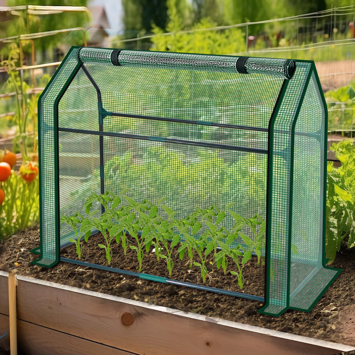 SUMGROW mini greenhouse outdoor protection helps small plants endure cooler days.