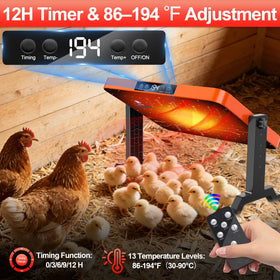 SUMLGT heater in adjustable height mode for growing chicks.