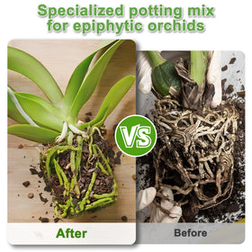 Sumloty orchid bark mix aerated texture supports healthy epiphytic roots.