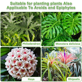 Sumloty Orchid Bark Potting Mix suitable for epiphytic orchids including Phalaenopsis.