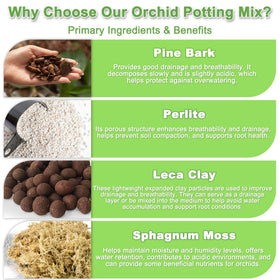 Sumloty orchid bark mix with LECA clay granules for excellent drainage and root oxygenation.